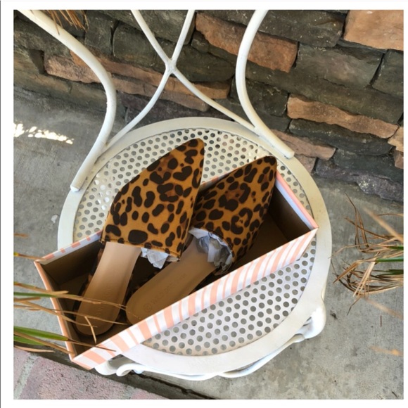 New Arrival- Leopard Mules, Flats - Picture 2 of 4